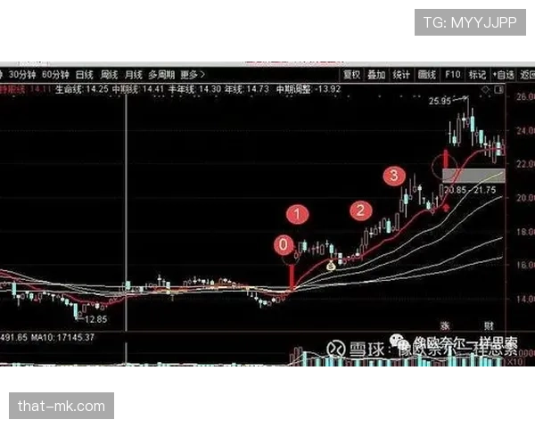 严重犯规的判罚标准与裁判判定逻辑详解